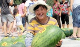 吃辛瓜图片,舌尖上的清新滋味