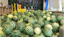 做吃瓜观众,吃瓜群众视角下的娱乐圈风云录