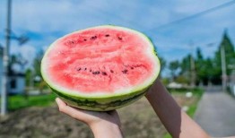 新农业吃瓜技巧,解锁吃瓜新技巧，尽享田园美味