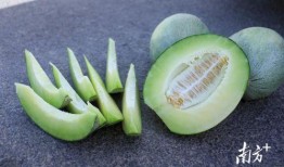 一天吃五个瓜都是啥瓜,一日瓜果大盘点