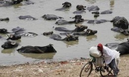 躲在池塘吃瓜,揭秘夏日隐秘美食之旅