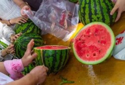 天津视频吃瓜,揭秘网络热传事件背后的真相