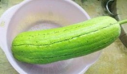 水瓜怎样吃,探索健康美味的烹饪之道