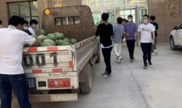 广宗吃瓜新闻事件,一场引发热议的社区事件揭秘