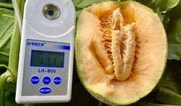 21年吃瓜大全,2021年度娱乐圈吃瓜大事件盘点