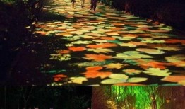 吃瓜打卡国际动态,吃瓜打卡国际动态一览