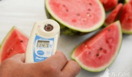 吃瓜七夕第一瓜,揭秘娱乐圈甜蜜背后的秘密