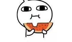 吃瓜提莫对象,揭秘网红情侣的甜蜜日常