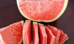 怎么幽默回复吃瓜,幽默回复大集合