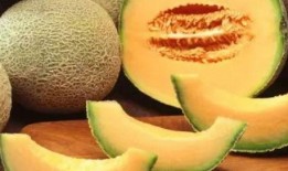 吃哈密瓜的学长,探寻甜蜜滋味背后的故事