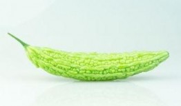 每天吃凉瓜好吗减肥