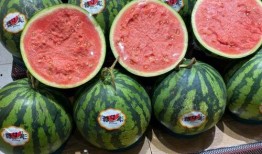 吃瓜网708,带你走进神秘的网络世界