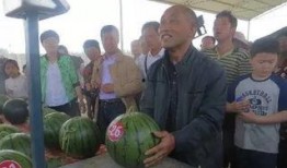 最高荣誉吃瓜群众,揭秘娱乐圈风云