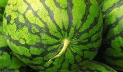 烧了可以吃瓜吗,揭秘烧了也能吃的神奇瓜果