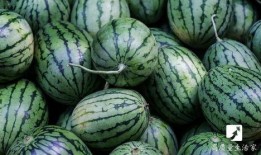 吃瓜把命吃没了,揭秘“吃瓜”背后的健康危机