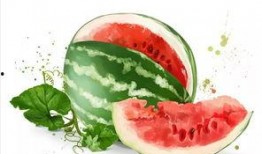 七七美食吃瓜,揭秘网红吃瓜背后的美食故事