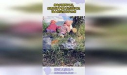 云南缅甸大妈吃瓜,跨国友谊在甜蜜中绽放