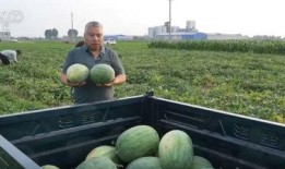 兖州最新吃瓜新闻,揭秘当地热点事件背后的真相