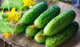 20年吃瓜表,年度热点回顾