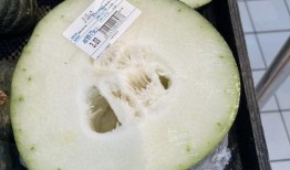 成都吃瓜站,揭秘网红美食背后的故事