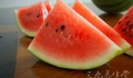 吃瓜会长一西瓜,一瓜长成西瓜的奇幻之旅