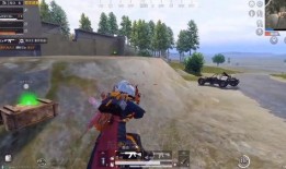 和平精英吃瓜绿洲,绿洲吃瓜，揭秘神秘事件背后的真相