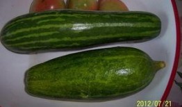 江西鹰潭贵溪吃瓜,夏日消暑新体验