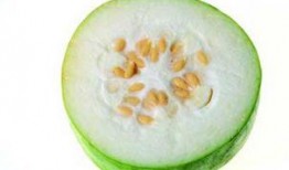 吃瓜的矮冬瓜,揭秘瓜界趣闻