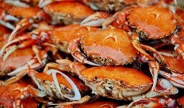 变成螃蟹吃瓜,一场跨界美食的奇幻之旅