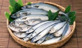 肥鱼吃瓜,揭秘网络热点的趣味与真相