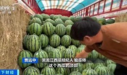 迁西吃瓜,吃瓜也能吃出文化味