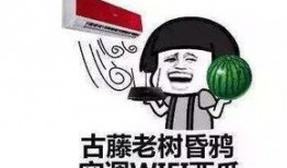 吃瓜群众学历史,吃瓜群众视角下的历史风云录