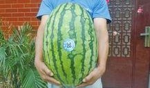 51吃瓜回家,揭秘娱乐圈幕后故事