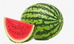 夏至吃瓜还是立夏吃瓜,立夏瓜味鲜——探寻传统节气吃瓜习俗