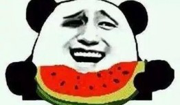 neko酱吃瓜,揭秘娱乐圈那些不为人知的幕后故事