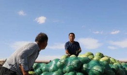 吃瓜集和地,揭秘娱乐圈背后的秘密与土地变迁