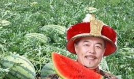 吃皇帝的瓜,揭秘皇帝瓜果背后的传奇故事