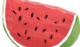 瓜皮的吃瓜群众,揭秘吃瓜群众的狂欢世界