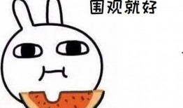 瓜哥吃瓜文言文