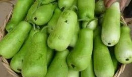 葫芦瓜穰怎么吃