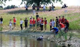 吃瓜捕鱼,趣味盎然的休闲游戏体验