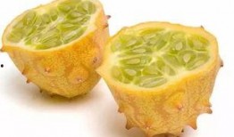 猴子吃蜜瓜,欢乐食趣记