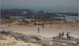 赶海吃海瓜视频,一场别开生面的海洋盛宴