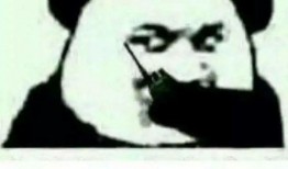 吃瓜娃子们小说2,揭秘小说2中的神秘世界