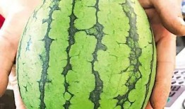 行建吃瓜事件,揭秘娱乐圈背后的惊人真相