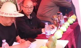 吃瓜群众济宁,揭秘当地美食与趣闻