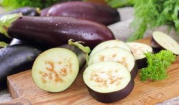 孕初期可以吃茄瓜,茄瓜助力母婴健康