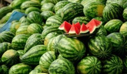 吃瓜最新网红,揭秘吃瓜网红的爆红之路