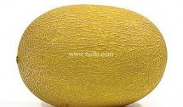 吃哈密瓜过敏了吃啥药,快速缓解症状的药物选择