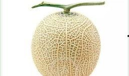 原创吃瓜群众高清头像,原创吃瓜群众高清头像惊艳亮相